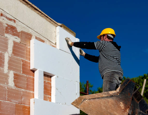 Best Residential Insulation in Sullivan City, TX