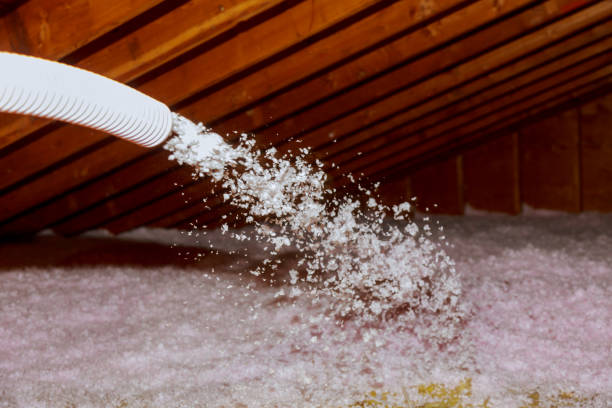Best Commercial Insulation in Sullivan City, TX