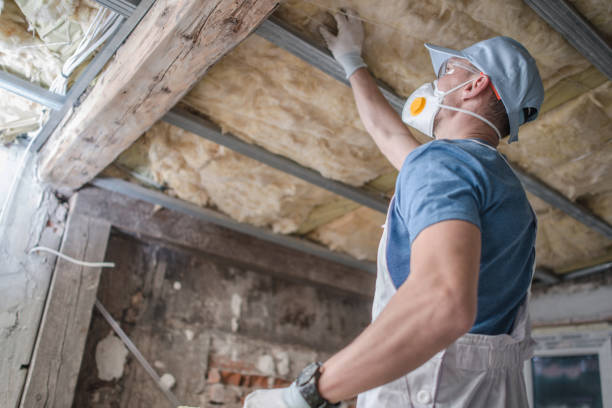 Best Specialized Insulation Services in Sullivan City, TX