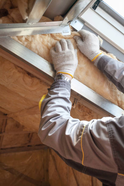 Best Eco-Friendly Insulation in Sullivan City, TX