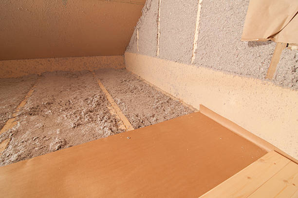 Best Insulation Maintenance and Repair in Sullivan City, TX
